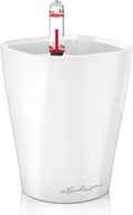 Lechuza MINI-DELTINI Cream White High Gloss, Self-Watering Small Indoor Planter by LECHUZA