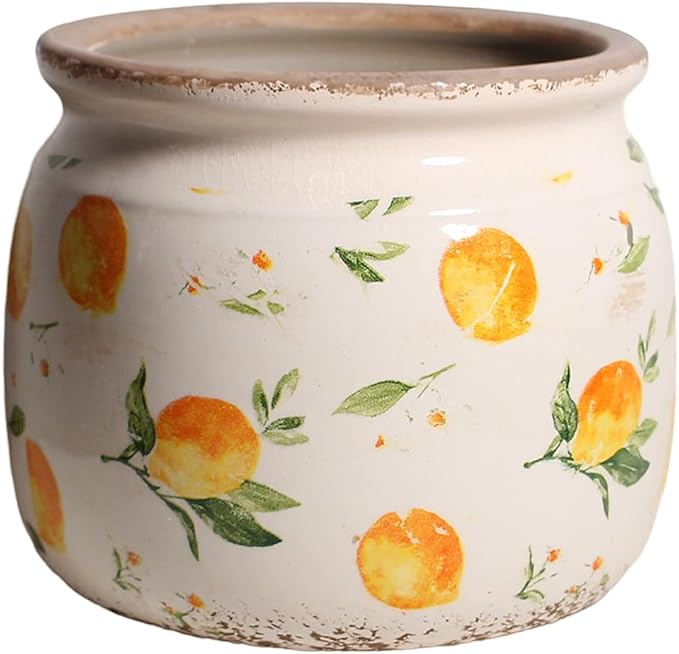 Lemon Summer Decor Plant Pot, 6 Inch Vintage Ceramic Planter by XiaanJiaju