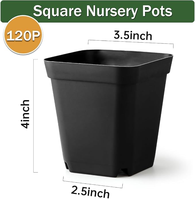 BTPLASTIK Small Plant Pots 3.5 Inch, Durable Plastic Succulents Pots - Image 2