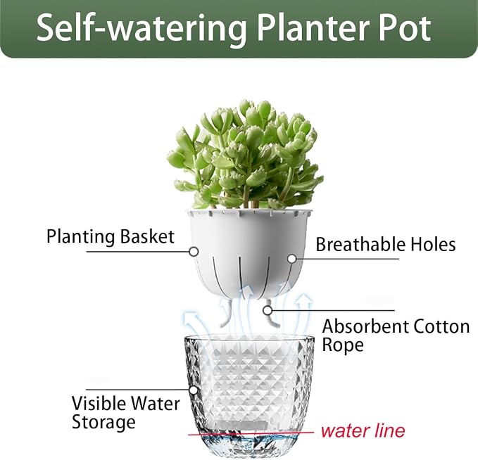 2 Pack 6 inch Self Watering Pots Planters - Image 3