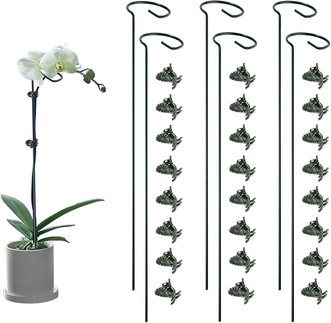 6 Pack Plant Support Stakes by Auaok