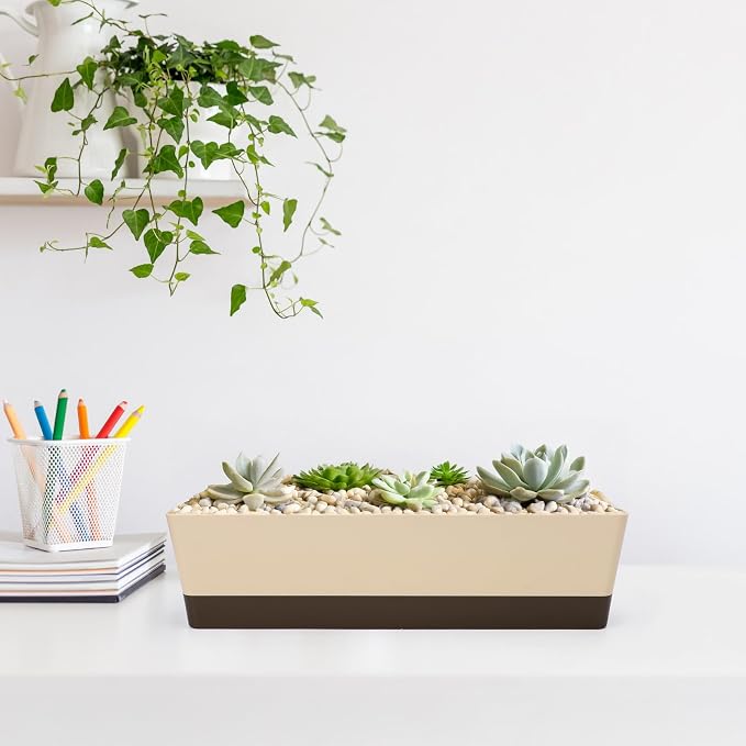 GREANER Window Boxes, 1 Pack 16 x3.8 Inch Indoor Rectangle Planter, Herb - Image 7