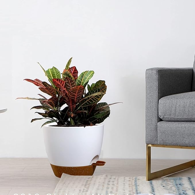 Large Self Watering Pots, 12/10/9 Plastic Planters - Image 7
