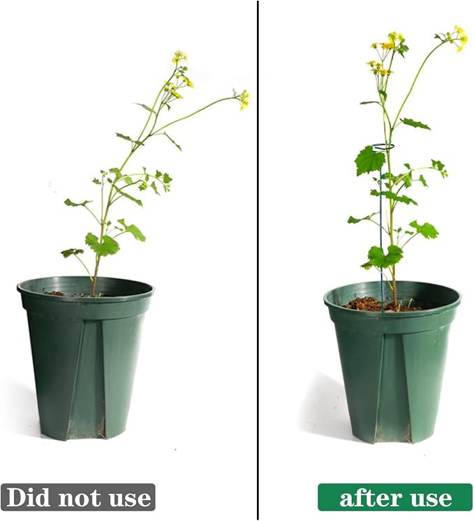 8 Pack Plant Stakes, Plant Support Stakes - Image 4