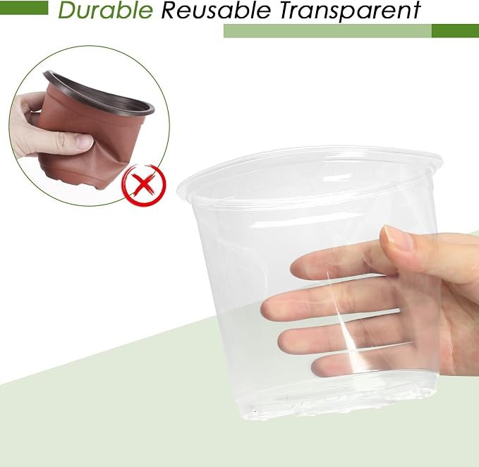 4/5/6/7 Inch Clear Nursery Pots - Image 5
