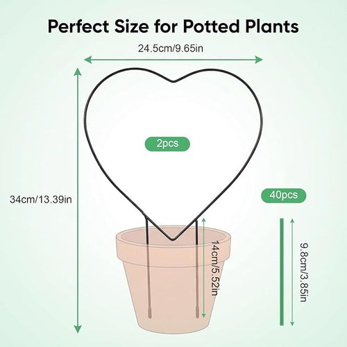 2 Pcs Heart Shaped Plant Trellis Indoor - Image 2