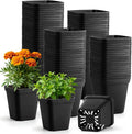 BTPLASTIK Square Nursery Pots 2.7 Inch 180 Pcs, Plastic Small Flower Pots by BTPLASTIK