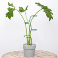 Set of 3 Sturdy Metal Plant Support Stakes by Goooxim