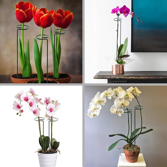 HiGift 10 Pack 24 inch Plant Stakes and Supports, Metal Flower Stakes - Image 4