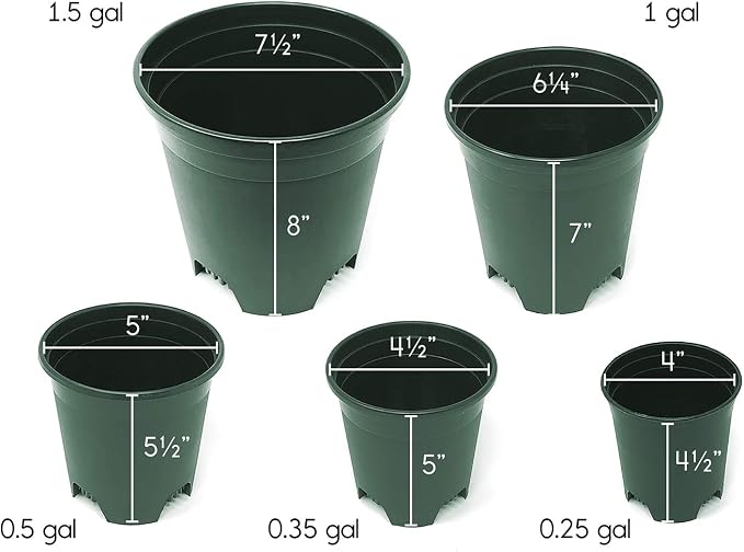 5.5 Inch Gardening Flower Pots 10-Pack Green Pot Liners 0.5 Gallon Nursery Pot - Image 5
