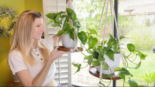 2 Pack Macrame Plant Hanger | Plant Hanger Indoor, Hanging Planter Shelf | - Image 2