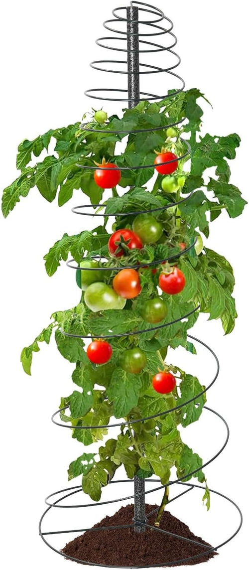 2 Pack Spiral Trellis for Climbing Plants Outdoor, 45 Inch Tall Heavy Duty by EUIJOIP