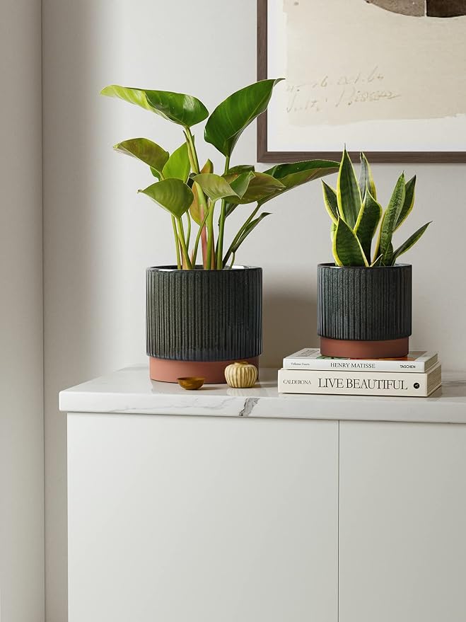 LE TAUCI Ceramic Plant Pots - Image 2