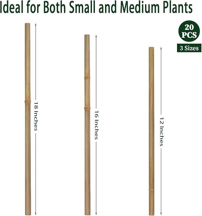 Plant Stakes, 12 Inches Natural Garden Bamboo Sticks, BOVITRO 20Pcs Plant - Image 3