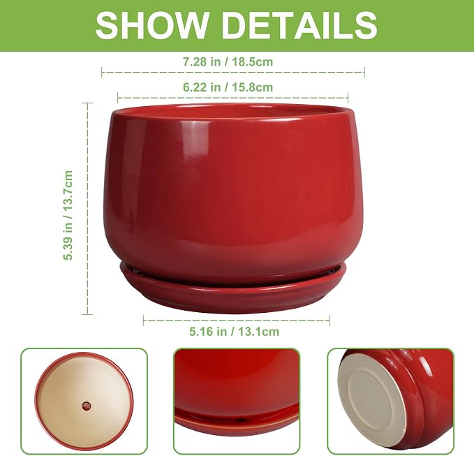 G EPGardening Ceramic Planter 7 Inch - Image 3