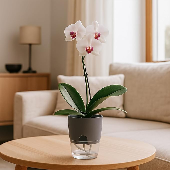 5 Pack Self Watering Pots for Indoor Plants, PlanterHoma 4 Inch Plant Pot - Image 2