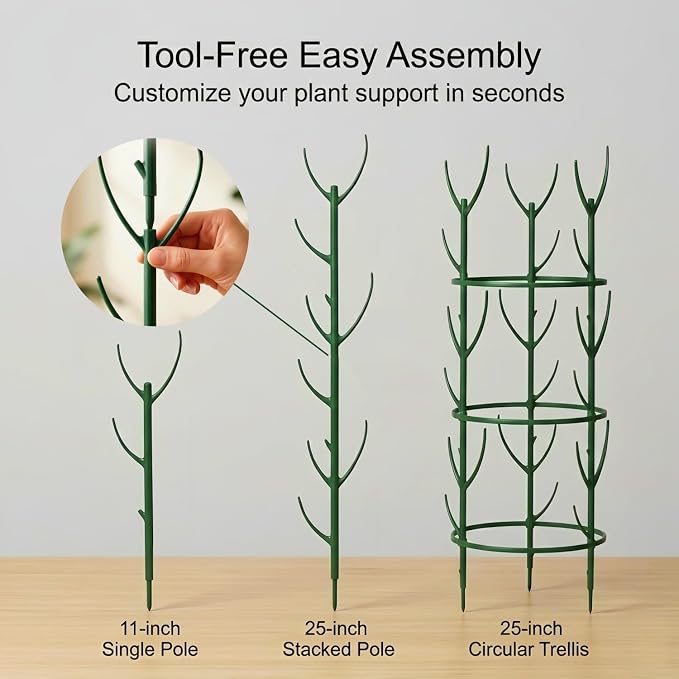 30-Pack Monstera Plant Support Stakes - Image 6