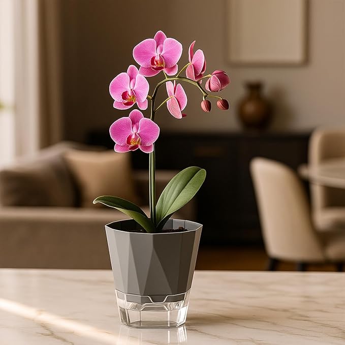 5 Pack Self Watering Pots for Indoor Plants, 5/6.7/8.4 in Self Watering - Image 2