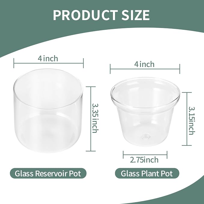4 Inch Self Watering Pot, African Violet Pot, Bottom Watering Glass Planter - Image 3