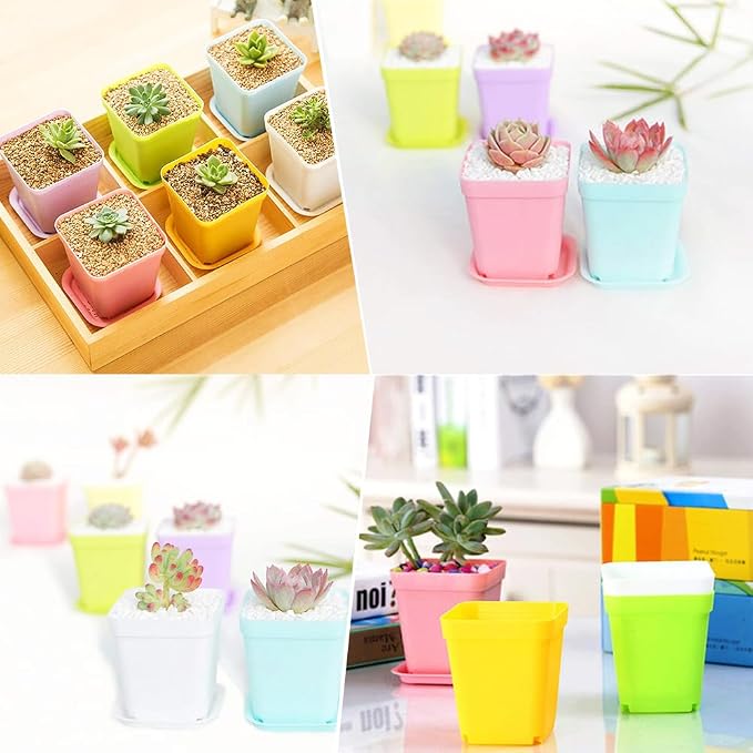 Haawooky 24 Pack Colorful Flower Pots Square Plastic Plant Pots Succulent - Image 5