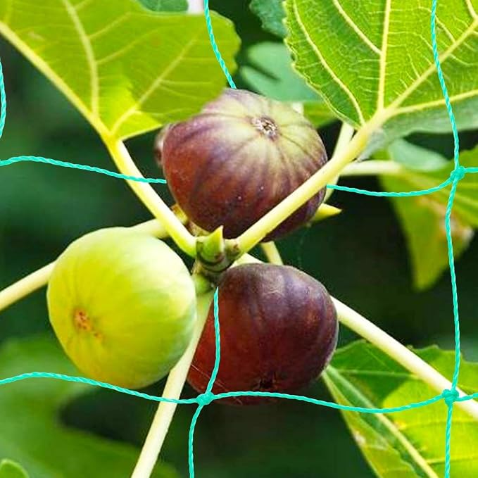Pack of 2 Cucumber Tomato Trellis Netting, Heavy Duty Garden Netting Support - Image 4