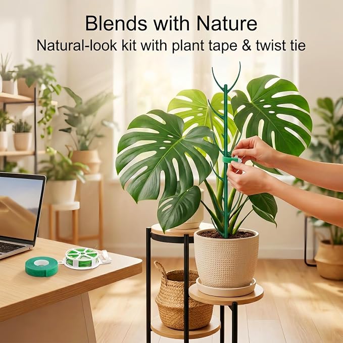 20-Pack Monstera Plant Support Stakes - Image 5