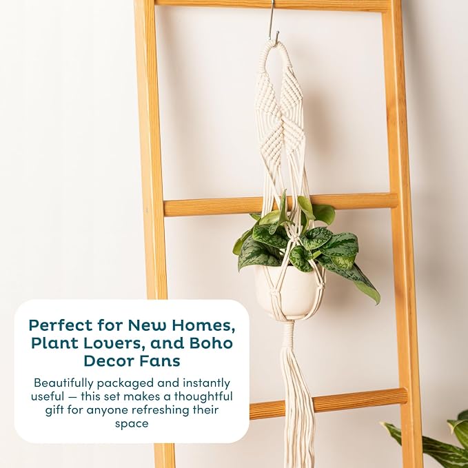 Nook Theory 6-Pack Macrame Plant Hangers - Image 9