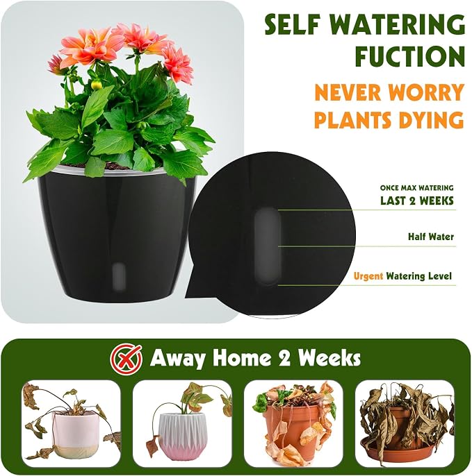 Self-Watering Pots for Indoor Plants, Small African Violet Pots - Image 2