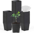 June Fox Square Nursery Pots 3.3 Inches Flexible Plastic Seedling Pots Square by June+Fox