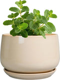 G EPGardening 4 inch Plant Pots by GEPGardening