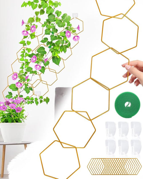18 Pcs Chain Trellis for Climbing Plants, Potted Houseplant Accessories for Hoya by Unknown