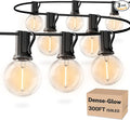 RTTY Dense-Glow 300FT Modular Professional Outdoor String Lights System by RTTY