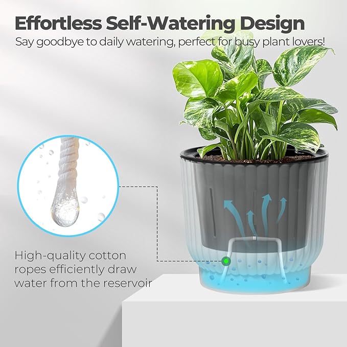 T4U 4.5 Inch Plant Pots Self Watering, 6 Pack African Violet Pots, Small Plant - Image 3