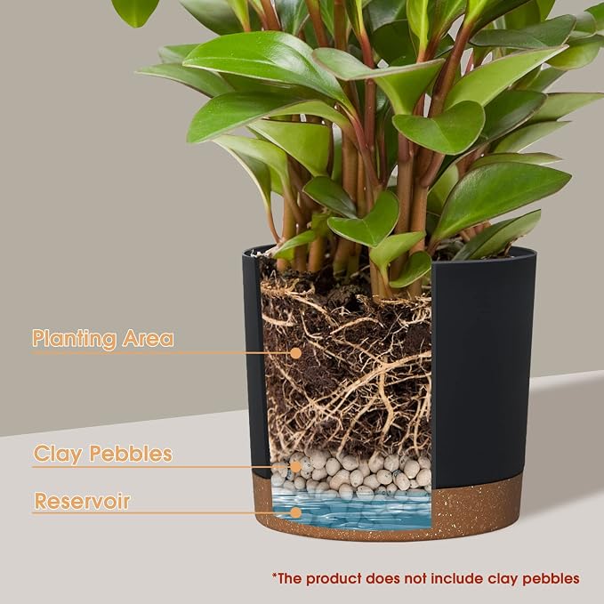 kubvici Plant Pots for Indoor Plants, 2 Pack 10 Inch Plant Pot Plastic Flower - Image 4