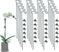 20 Pack Plant Support Stakes by Auaok