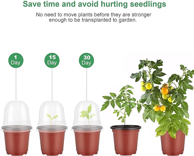 MIXC Plant Nursery Pots with Humidity Dome 4" Soft Transparent Plastic - Image 4