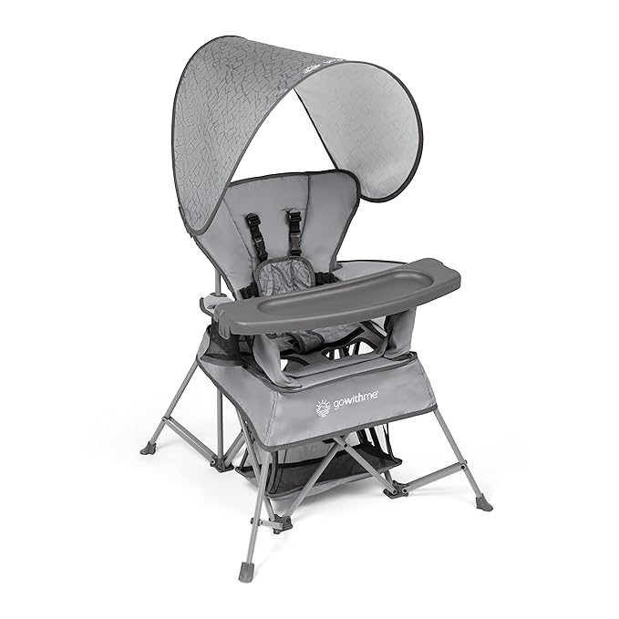 Baby Delight Go with Me Venture Portable Chair | Indoor and Outdoor | Sun by BabyDelight