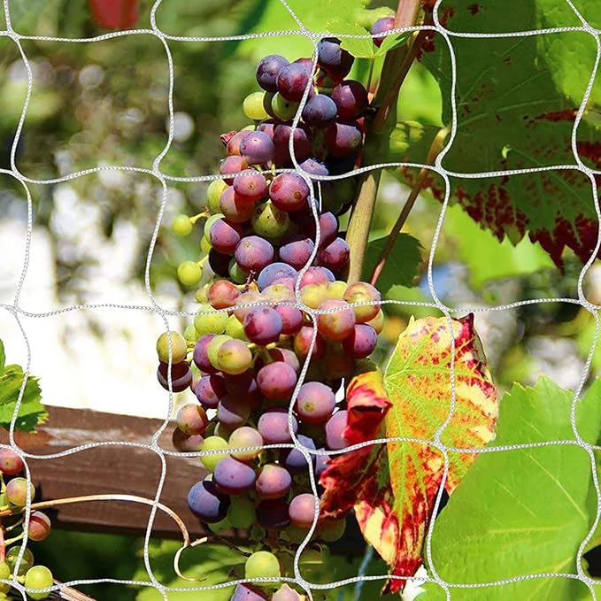 Tcamp Heavy-Duty Polyester Plant Trellis Netting 5 x 30ft - Image 6