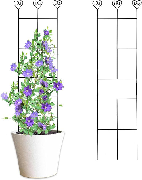 2 Pack 30'' Plant Trellis for Climbing Plants Indoors, Metal Garden Trellis for by Hensal