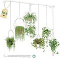 Plant Hanger Indoor with 6 Hanging Chains Hanging Planters by Galood