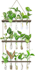 XXXFLOWER Wall Hanging Propagation Station by XXXFLOWER