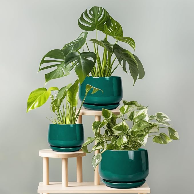 G EPGardening 6 Inch Plant Pot - Image 8