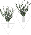 Jexine 8 Pcs Hanging Planters by Jexine