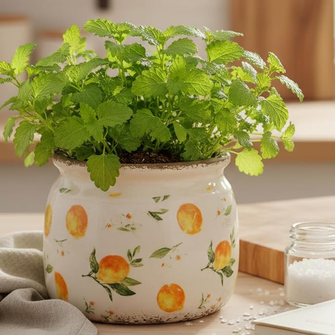 Lemon Summer Decor Plant Pot, 6 Inch Vintage Ceramic Planter - Image 2