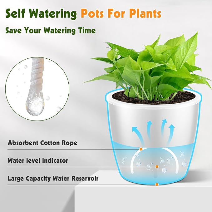 Self Watering Pots for Indoor Plants, Small African Violet Pots - Image 4