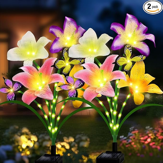 Solar Garden Lights 2 Pack by stadeco
