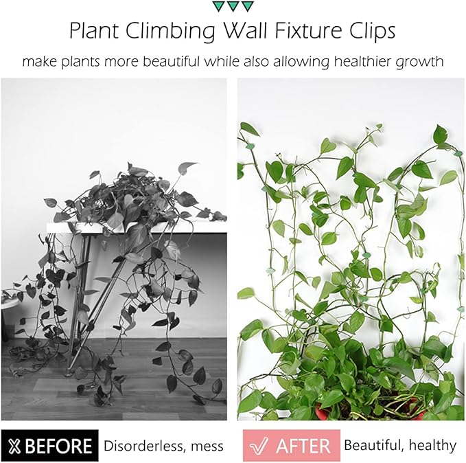 40 Pcs Plant Climbing Wall Fixture Clips Self-Adhesive Hook Vines Traction - Image 3