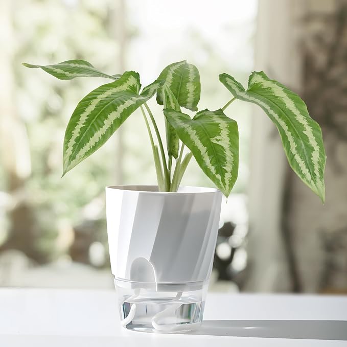 KIMCHOMERSE Self Watering Plant Pots, 4.7 Inch Plant Pots 6-Pack Indoor Planter - Image 7
