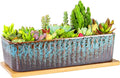 Succulent Pots - 12 Inch Large Succulent Planters by ARTKETTY