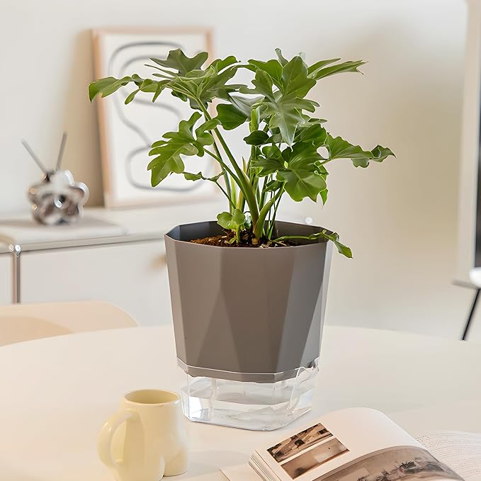 3 Pack Self Watering Planter Pots, 4.9 Inch African Violet Pots - Image 7